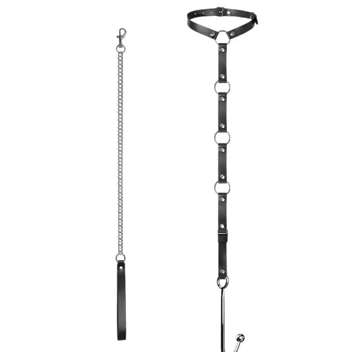 with EverydayUse Hook and 5853 Kinky Collar Anal Leash 0308